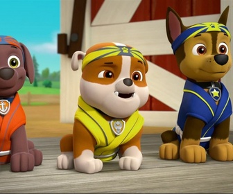 Paw Patrol, la Pat'Patrouille - Comme chiens et chats