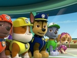 Paw Patrol, la Pat'Patrouille