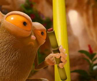 Les as de la jungle à la rescousse - 17/11/2025