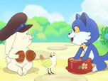 Taki Tanuki